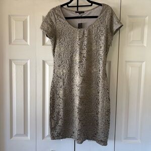 Elegant Lace Dress in Gray/Olive. TIANA B. NWT.